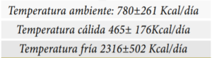 Captura3 300x82