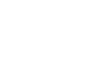 Логотип Sergio Dolz