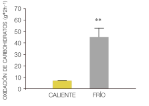 Tabla Oxidacion Carbohidratos Y Grasa 300x215